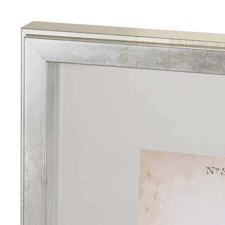 Delicate Bird and Botanical IV by John James Audubon a Framed Art Print Matted under Glass from Mercana - Luna Furniture