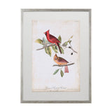 Common Cardinal Grosbeak by John James Audubon a Framed Art Print Matted under Glass from Mercana - Luna Furniture