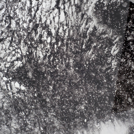 In The Storm by WINK GAINES a Hand Embellished Textured Framed Art Photograph Matted under Glass from Mercana - Luna Furniture