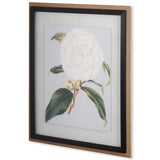 Camellia Japonica I by Vision Studio a Hand Embellished Textured Framed Art Print Matted under Glass from Mercana - Luna Furniture