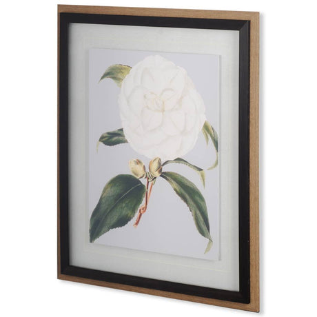 Camellia Japonica I by Vision Studio a Hand Embellished Textured Framed Art Print Matted under Glass from Mercana - Luna Furniture