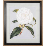 Camellia Japonica I by Vision Studio a Hand Embellished Textured Framed Art Print Matted under Glass from Mercana - Luna Furniture