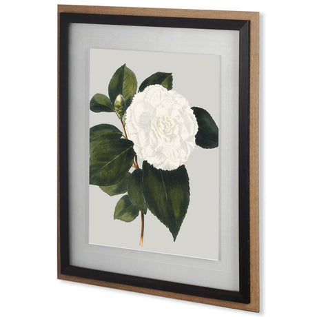 Camellia Japonica II by Vision Studio Hand Embellished Textured Framed Art Print Matted under Glass from Mercana - Luna Furniture