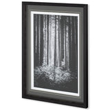 Lowland Winter Forest No 13, Tiger Mountain by Bisig, Steve a Framed Photo Art Print Matted under Gl from Mercana - Luna Furniture