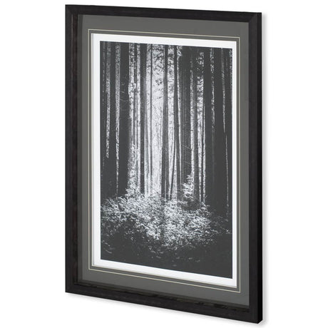 Lowland Winter Forest No 13, Tiger Mountain by Bisig, Steve a Framed Photo Art Print Matted under Gl from Mercana - Luna Furniture