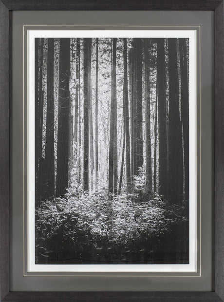 Lowland Winter Forest No 13, Tiger Mountain by Bisig, Steve a Framed Photo Art Print Matted under Gl from Mercana - Luna Furniture