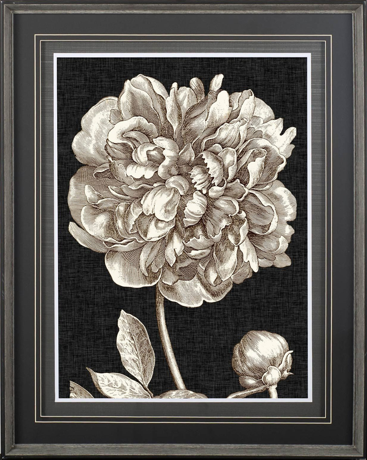 Dramatic Peony I by Vision Studio a Hand Embellished Textured Framed Art Print Matted under Glass from Mercana - Luna Furniture