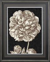 Dramatic Peony II by Vision Studio a Hand Embellished Textured Framed Art Print Matted under Glass from Mercana - Luna Furniture