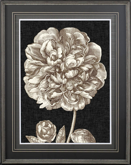 Dramatic Peony II by Vision Studio a Hand Embellished Textured Framed Art Print Matted under Glass from Mercana - Luna Furniture