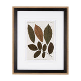 Autumnal Leaves I by Vision Studio a Framed Art Print Matted under Glass from Mercana - Luna Furniture