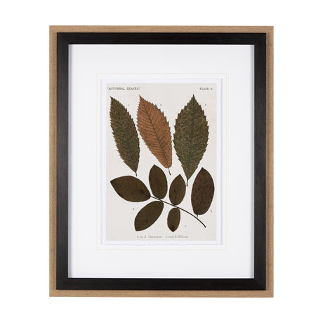 Autumnal Leaves I by Vision Studio a Framed Art Print Matted under Glass from Mercana - Luna Furniture