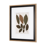 Autumnal Leaves I by Vision Studio a Framed Art Print Matted under Glass from Mercana - Luna Furniture