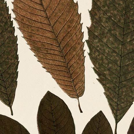 Autumnal Leaves I by Vision Studio a Framed Art Print Matted under Glass from Mercana - Luna Furniture