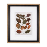 Autumnal Leaves II by Vision Studio a Framed Art Print Matted under Glass from Mercana - Luna Furniture