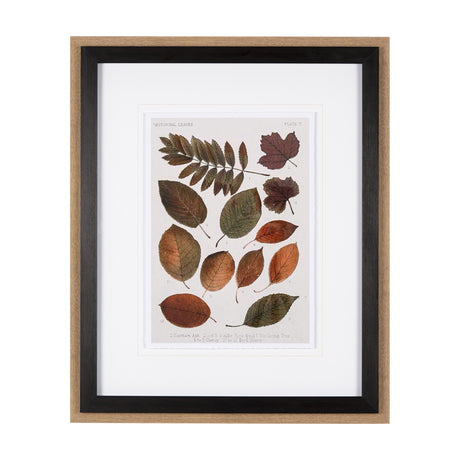 Autumnal Leaves II by Vision Studio a Framed Art Print Matted under Glass from Mercana - Luna Furniture