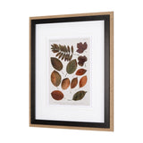 Autumnal Leaves II by Vision Studio a Framed Art Print Matted under Glass from Mercana - Luna Furniture