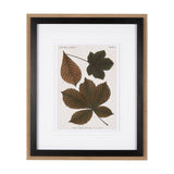 Autumnal Leaves III by Vision Studio a Framed Art Print Matted under Glass from Mercana - Luna Furniture