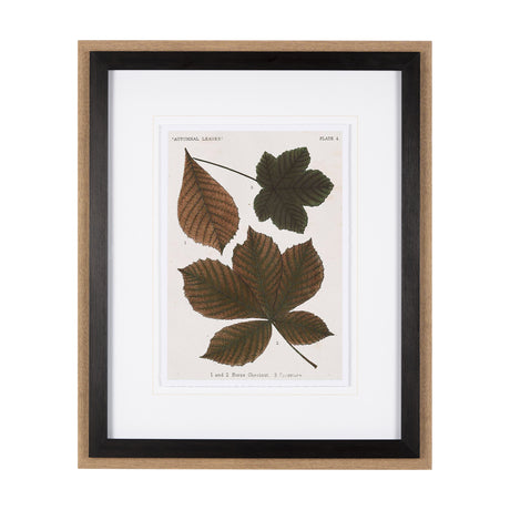 Autumnal Leaves III by Vision Studio a Framed Art Print Matted under Glass from Mercana - Luna Furniture