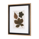 Autumnal Leaves III by Vision Studio a Framed Art Print Matted under Glass from Mercana - Luna Furniture