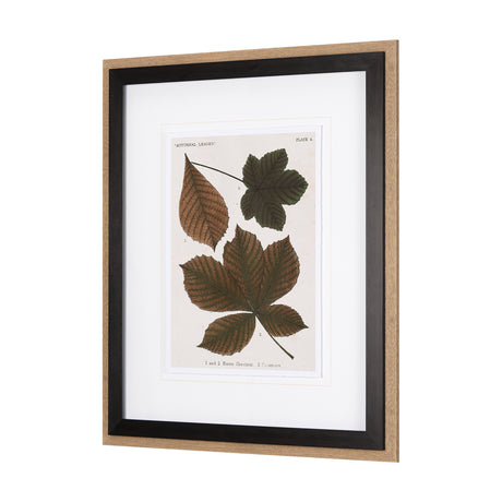 Autumnal Leaves III by Vision Studio a Framed Art Print Matted under Glass from Mercana - Luna Furniture