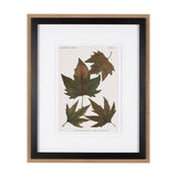 Autumnal Leaves IV by Vision Studio a Framed Art Print Matted under Glass from Mercana - Luna Furniture