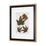 Autumnal Leaves IV by Vision Studio a Framed Art Print Matted under Glass from Mercana - Luna Furniture
