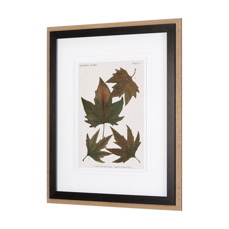 Autumnal Leaves IV by Vision Studio a Framed Art Print Matted under Glass from Mercana - Luna Furniture