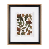 Autumnal Leaves V by Vision Studio a Framed Art Print Matted under Glass from Mercana - Luna Furniture