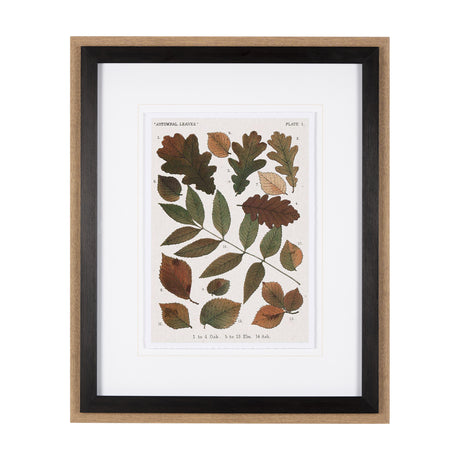Autumnal Leaves V by Vision Studio a Framed Art Print Matted under Glass from Mercana - Luna Furniture