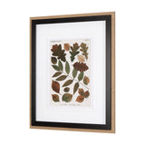 Autumnal Leaves V by Vision Studio a Framed Art Print Matted under Glass from Mercana - Luna Furniture