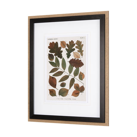 Autumnal Leaves V by Vision Studio a Framed Art Print Matted under Glass from Mercana - Luna Furniture