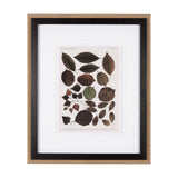 Autumnal Leaves VI by Vision Studio a Framed Art Print Matted under Glass from Mercana - Luna Furniture