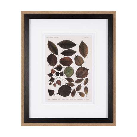 Autumnal Leaves VI by Vision Studio a Framed Art Print Matted under Glass from Mercana - Luna Furniture