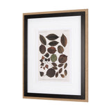 Autumnal Leaves VI by Vision Studio a Framed Art Print Matted under Glass from Mercana - Luna Furniture