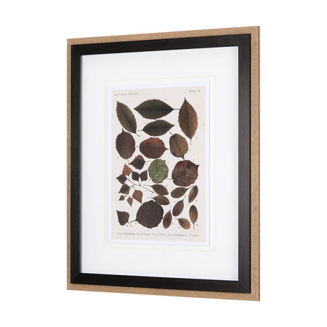 Autumnal Leaves VI by Vision Studio a Framed Art Print Matted under Glass from Mercana - Luna Furniture