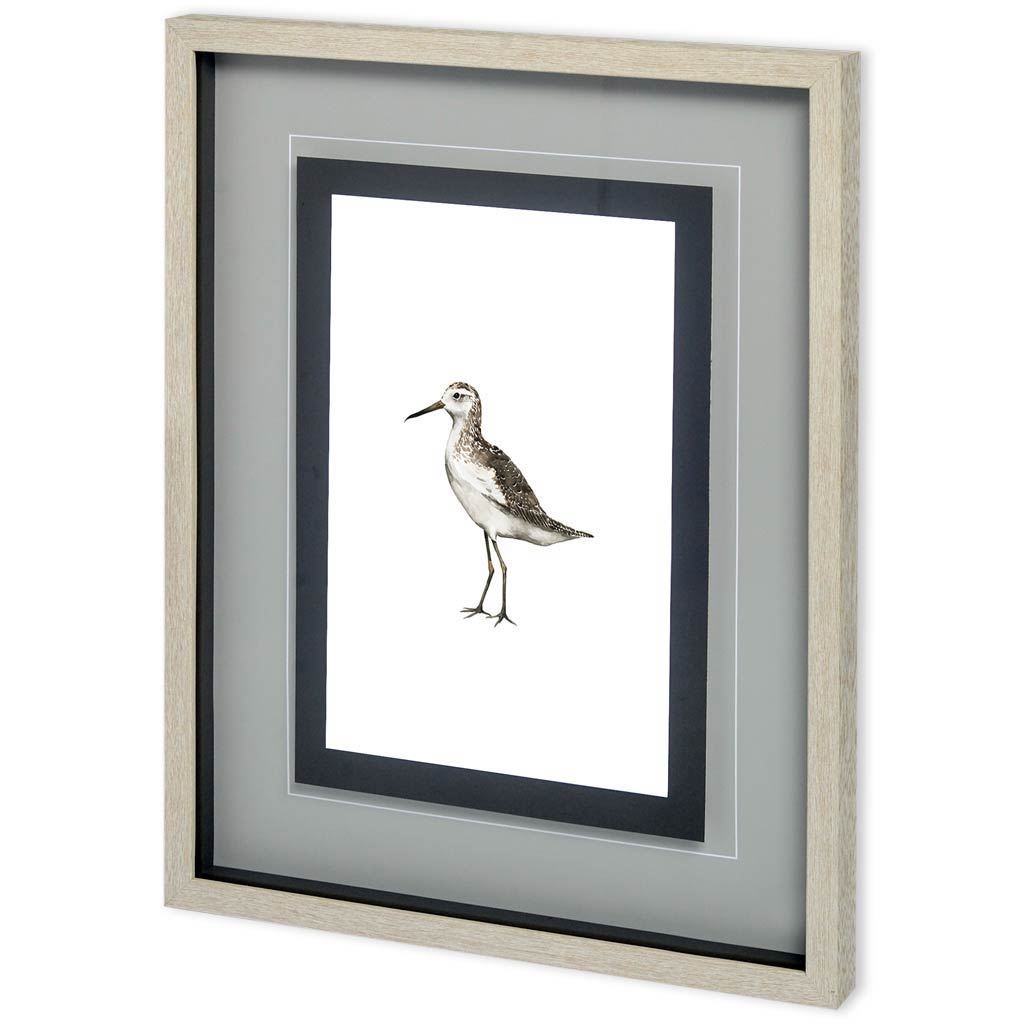 Custom Sea Bird VI by Grace Popp a Framed Art Print Matted under Glass from Mercana - Luna Furniture