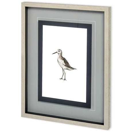 Custom Sea Bird VI by Grace Popp a Framed Art Print Matted under Glass from Mercana - Luna Furniture