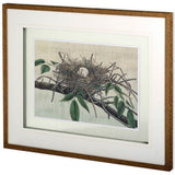 Custom Nesting III (MC) by John Butler Hand Embellished Textured Framed Art Print Matted under Glass from Mercana - Luna Furniture