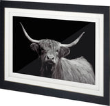 Highland Spirit - Framed Art Photograph Matted under Glass from Mercana - Luna Furniture