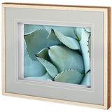 Agave Detail I by Alison Jerry a Framed Photo Art Print Matted under Glass from Mercana - Luna Furniture