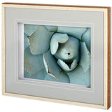 Agave Detail II by Alison Jerry a Framed Photo Art Print Matted under Glass from Mercana - Luna Furniture