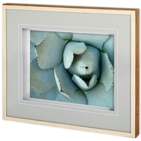 Agave Detail II by Alison Jerry a Framed Photo Art Print Matted under Glass from Mercana - Luna Furniture