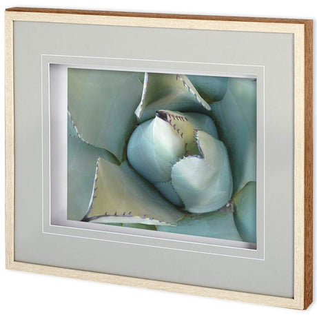 Agave Detail III by Alison Jerry a Framed Photo Art Print Matted under Glass from Mercana - Luna Furniture