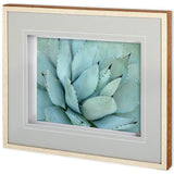 Agave Detail IV by Alison Jerry a Framed Photo Art Print Matted under Glass from Mercana - Luna Furniture