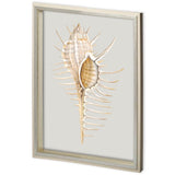 Custom Spiny Murex by Maleki, Ferdos a Framed Art Print Matted under Glass from Mercana - Luna Furniture