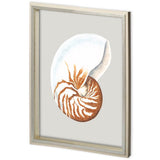Custom Spider Conch by Maleki, Ferdos a Framed Art Print Matted under Glass from Mercana - Luna Furniture