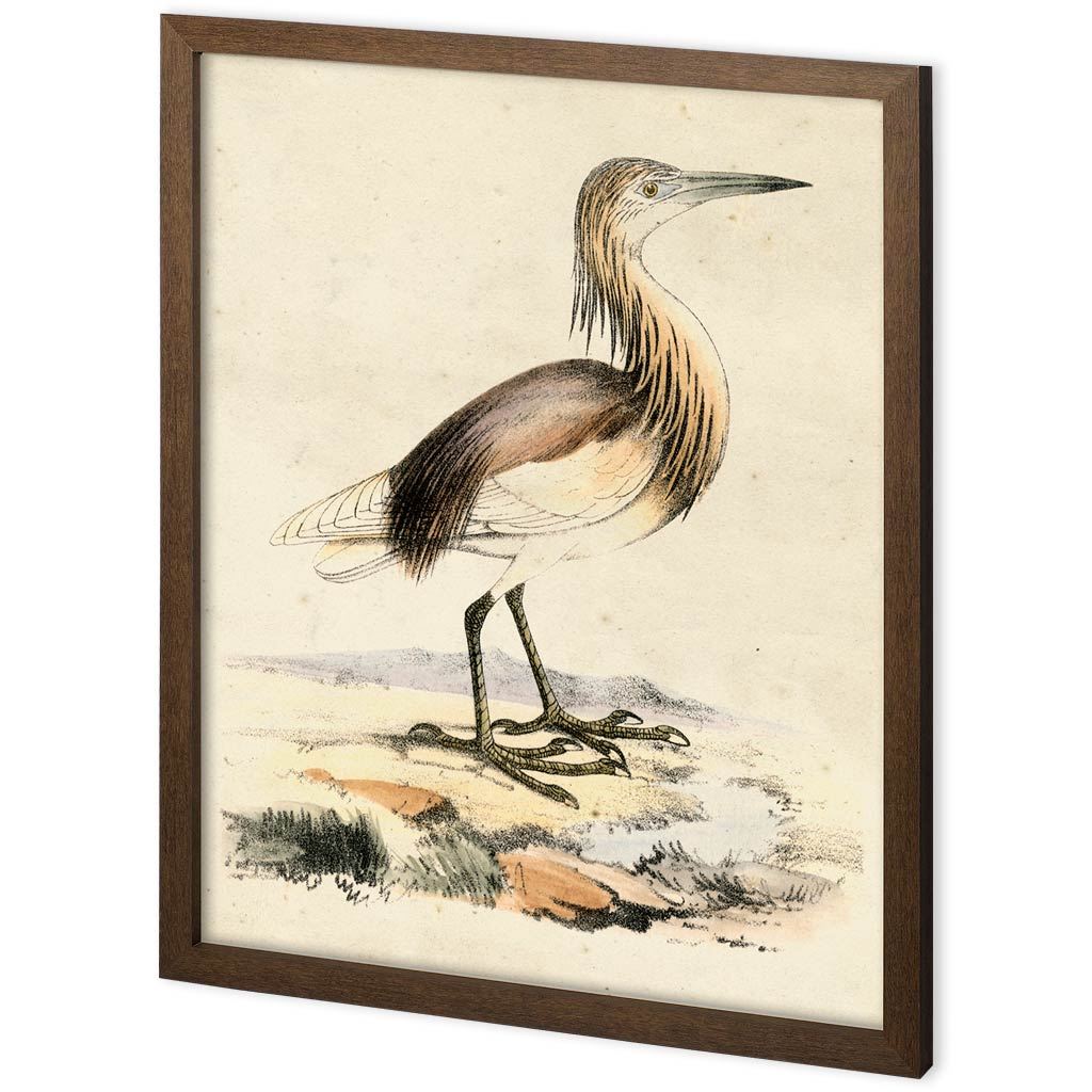 Custom Antique Heron I by Ferdos Maleki a Hand Embellished Textured Framed Decograph Art Print from Mercana - Luna Furniture