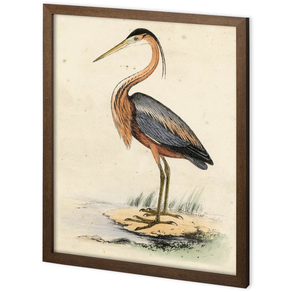 Custom Antique Heron II by Ferdos Maleki a Hand Embellished Textured Framed Decograph Art Print from Mercana - Luna Furniture