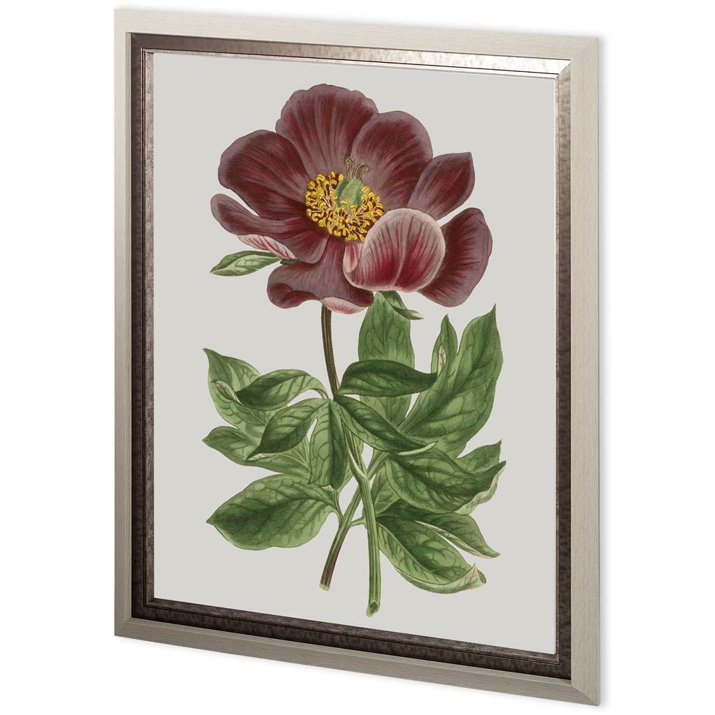Custom Floral Gems II by Ferdos Maleki Hand Embellished Textured Framed Art Print Matted under Glass from Mercana - Luna Furniture