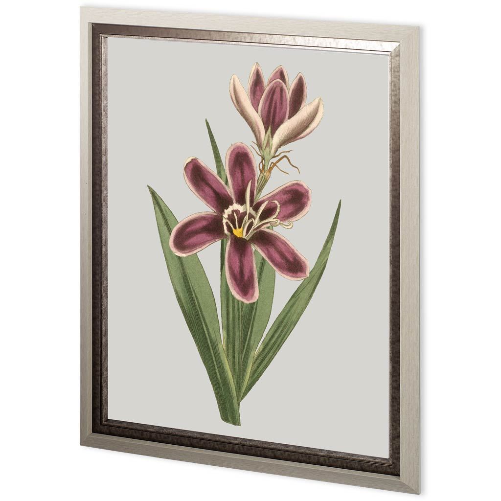 Custom Floral Gems III by Ferdos Maleki Hand Embellished Textured Framed Art Print Matted under Glas from Mercana - Luna Furniture
